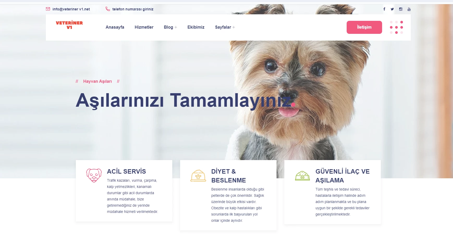 veteriner web sitesi